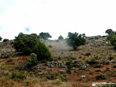 Enebral y Ermita de Hornuez – Villa de Maderuelo;pueblo fantasma catedrales del mar como hacer ami